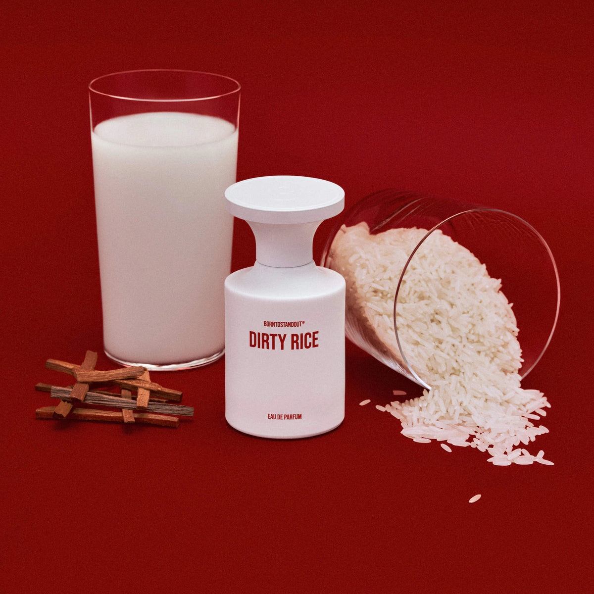 BTSO Dirty Rice